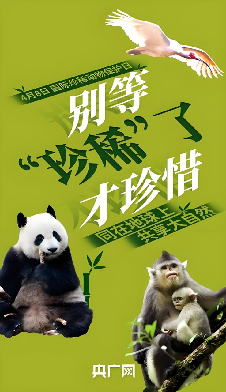 都市剧
